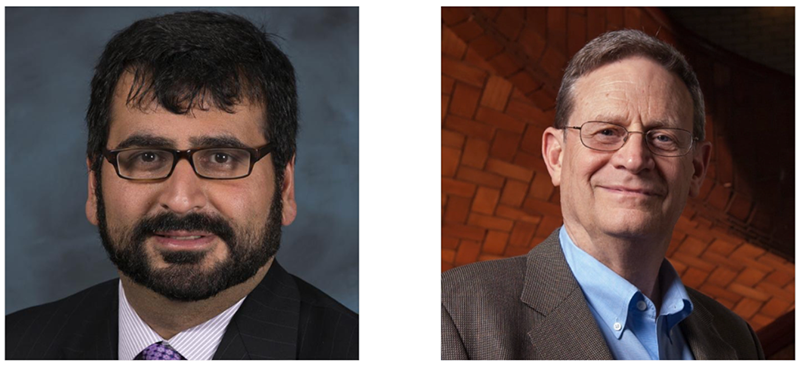 Ramteen Sioshansi (left) and Granger Morgan (right)